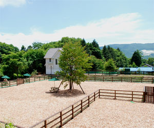 ドッグランについて