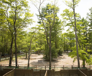 ドッグランについて