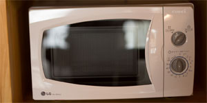 電子レンジ・冷凍ごはん・お預かりサービス