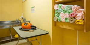 トリミングルーム(セルフ)