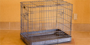 ゲージの貸し出し