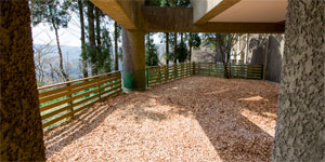 室外ドッグラン(小)