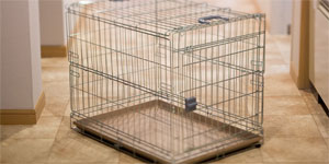 その他のサービス