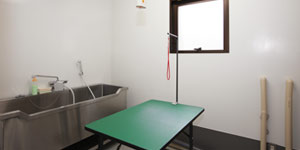 トリミングルーム(セルフ)