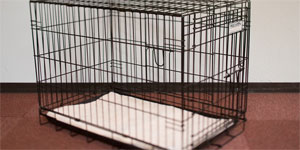 その他のサービス