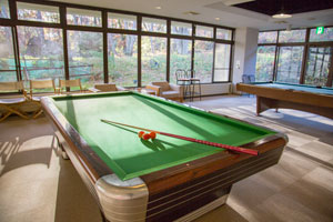 ビリヤード場