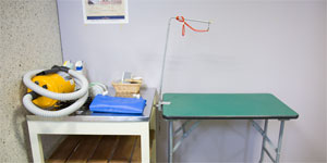 トリミングルーム(セルフ)