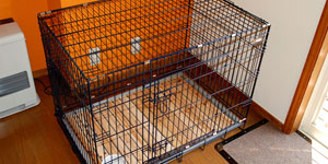 その他のサービス