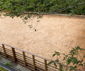 ドックランについて