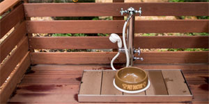 わんちゃん用足洗い場