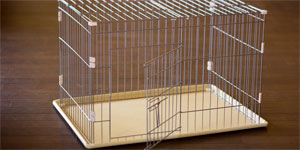 わんちゃんお預かりサービス