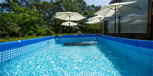 ワンちゃん専用プール