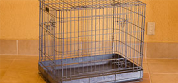 レンタルケージ